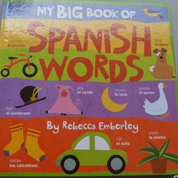 Mein großes Buch mit spanischen Wörtern