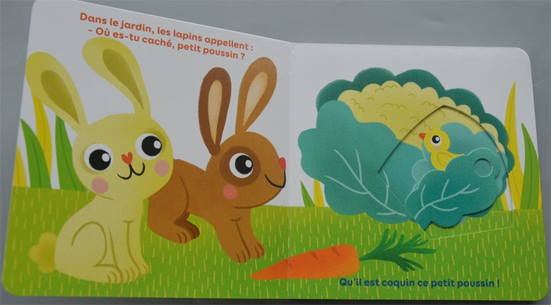 Où es -tu petit coussin – livre animé